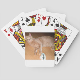 MEOW POKER CARDS