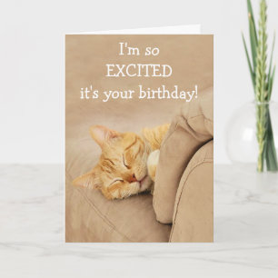 Meow-Velous From The Cat Birthday Card