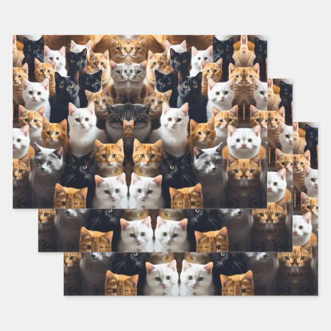 Meow Wrapping Paper Sheets (Set)