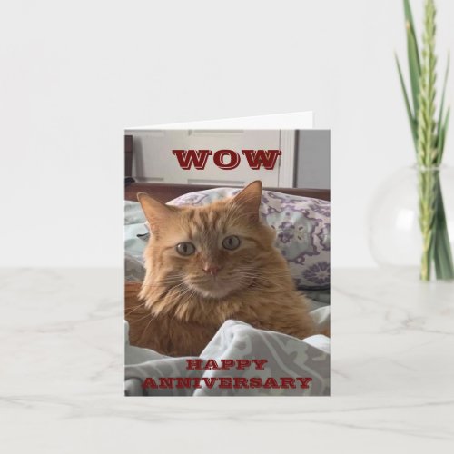 MEOWING CAT SAYS HAPPY ANNIVERSARY TO YOU CARD