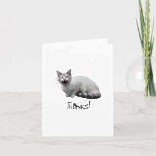 Meowing Cat Thanks Thank You Card