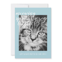 Meowing Spirits Bright Your Cat Photo Holiday