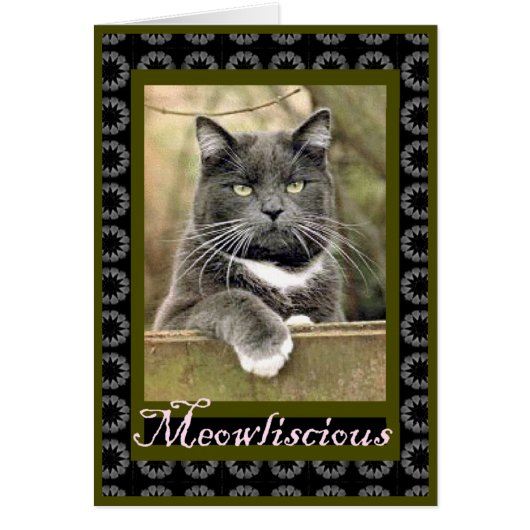 MeowlisciousCcard Cards (Front)