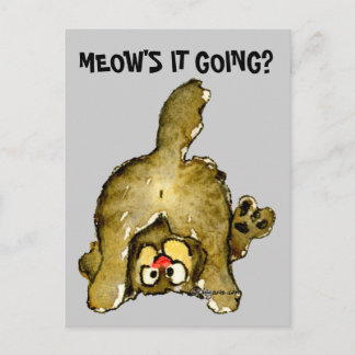 Meow's it Going Cartoon Cat Postcard