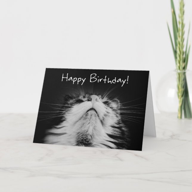 Meowvelous Birthday Wishes Card (Front)