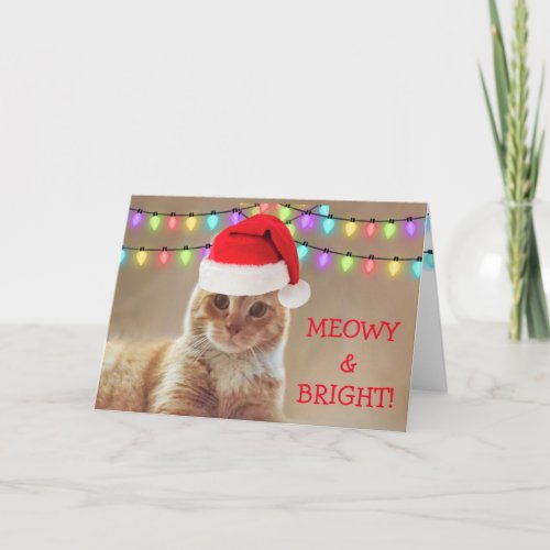 Meowy and Bright Cat Christmas  Holiday Card