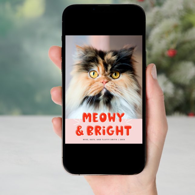 Meowy & Bright Christmas Cute Cat Holiday Photo (Front Digital)