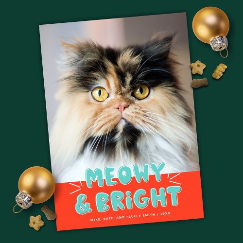 Meowy  Bright Christmas Cute Cat Holiday Photo