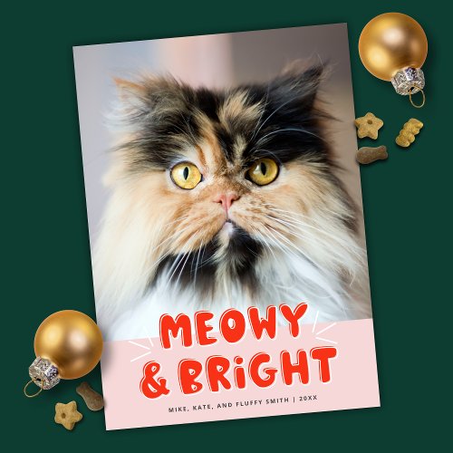 Meowy  Bright Christmas Cute Cat Holiday Photo