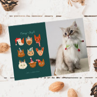 Meowy & Bright Winter Cats Photo Christmas