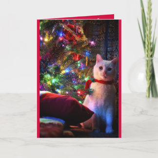 Meowy Catmas Greeting Card