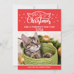 Meowy Christmas and a purrfect new year photo card