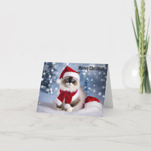 Meowy Christmas Card