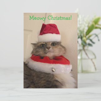Meowy Christmas Card