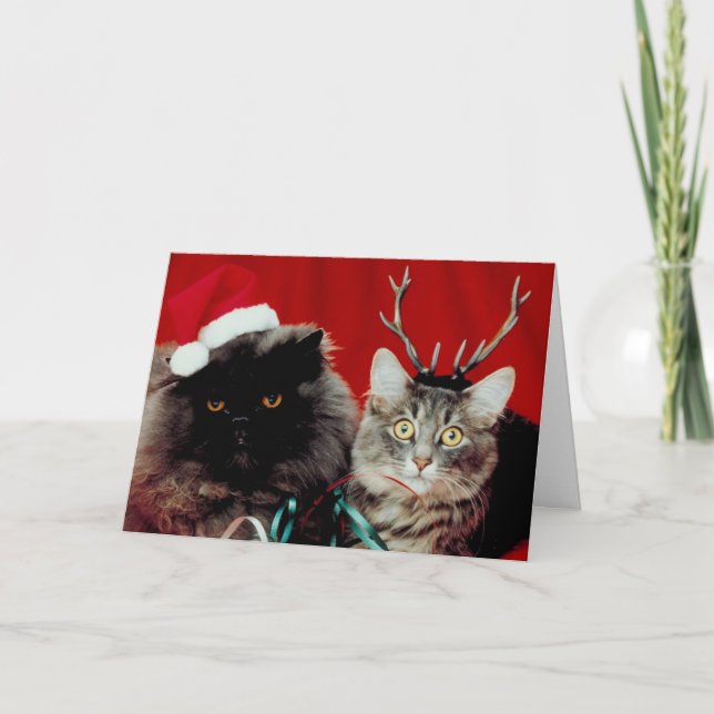 Meowy Christmas card (Front)