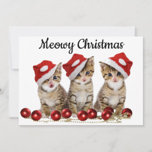Meowy Christmas Card for Cat Lovers