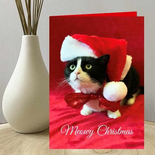 Meowy Christmas Cat Christmas Greeting Card