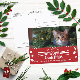 Meowy Christmas | Cat Holiday Photo