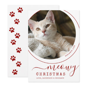 Meowy Christmas Cat Kitten Photo White