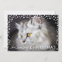 Meowy Christmas Cat Lover Holiday Photo Card