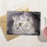 Meowy Christmas Cat Lover Holiday Photo Card