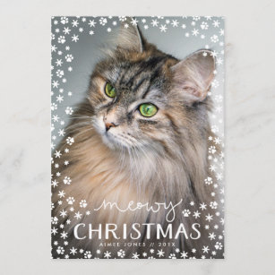 Meowy Christmas Cat Lover Holiday Photo Card Meowy Christmas Cat Lover Holiday Photo Card