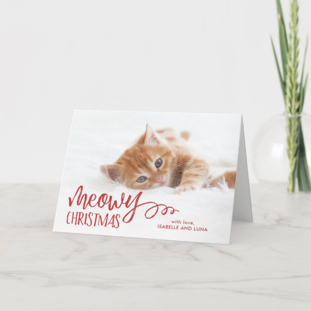 Meowy Christmas Cat Pet Holiday Folded Photo Card
