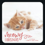 Meowy Christmas Cat Pet Holiday Sticker<br><div class="desc">Spread the love this holiday season with a unique and super cute pet holiday sticker that says "Meowy Christmas"</div>