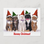 &quot;meowy Christmas!&quot; Cats Holiday Postcard at Zazzle