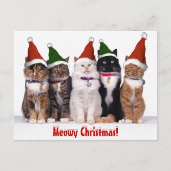"meowy Christmas!" Cats Holiday Postcard by kokobaby at Zazzle
