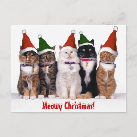 "meowy Christmas!" Cats Holiday Postcard