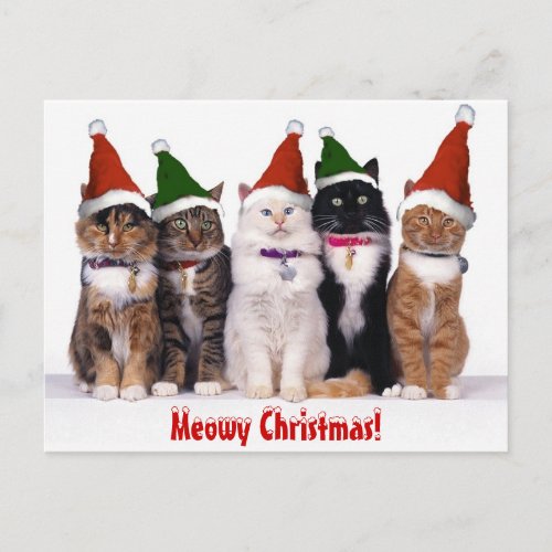 Meowy Christmas Cats Holiday Postcard