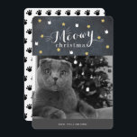 Meowy Christmas Chalkboard Photo Holiday Card<br><div class="desc">This cute "meowy christmas" christmas holiday card features your photo and patterns of faux gold stars and white cat face on a black chalkboard background. The reverse side features a white background with cat's paw print patterns. Personalize for your needs. You can find more matching products at my store.</div>
