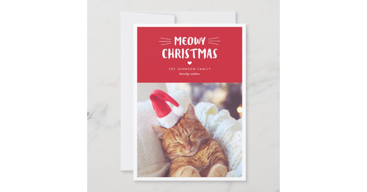 funny cat family christmas cards