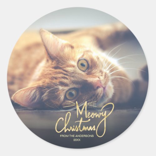 Meowy Christmas Funny Faux Gold Hand Type Photo Classic Round Sticker