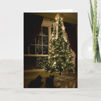 Meowy Christmas Holiday Card