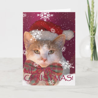 Meowy Christmas! Holiday Card