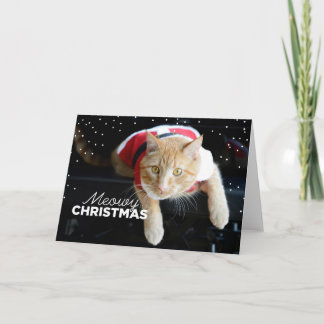 Meowy Christmas Holiday Card