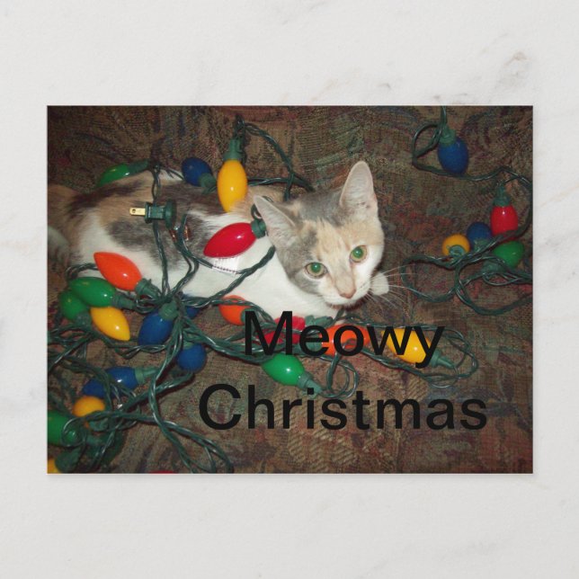 Meowy Christmas Holiday Postcard (Front)