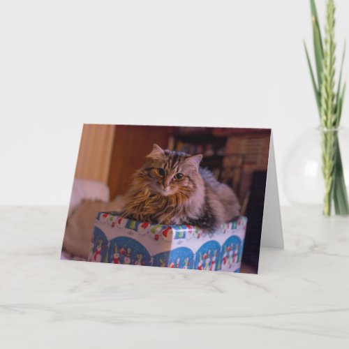 Meowy Christmas Kitty in a Gift Box Holiday Card