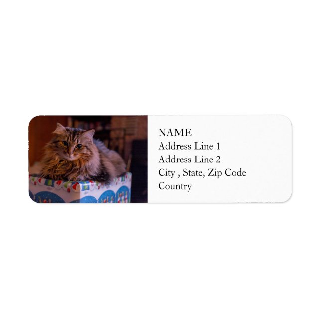 Meowy Christmas Kitty in a Gift Box Label (Front)