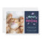 Meowy Christmas Kitty Modern Christmas Photo Pink