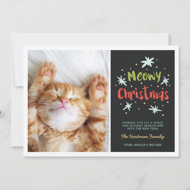 Meowy Christmas Kitty Photo Card | Green