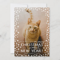 Meowy Christmas Purrfect New Year Holiday Card