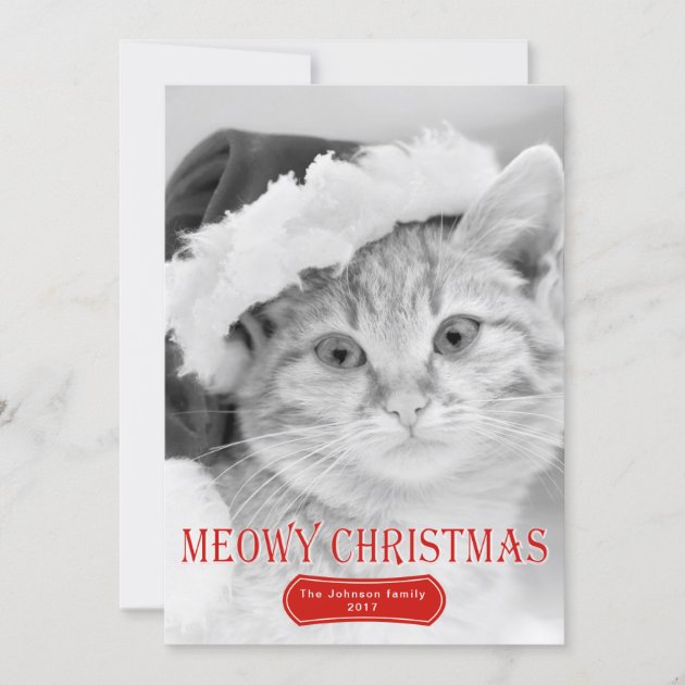 Meowy Christmas Red Kitten Pet Christmas Photo Holiday Card