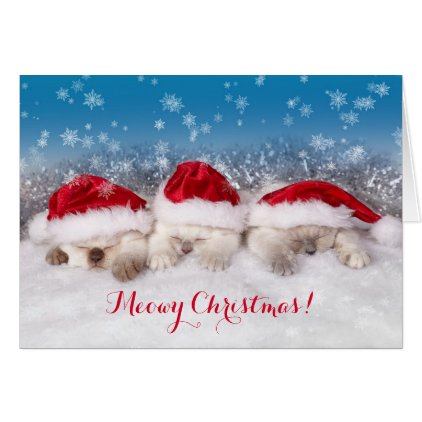 Meowy Christmas Sleeping Kittens Card