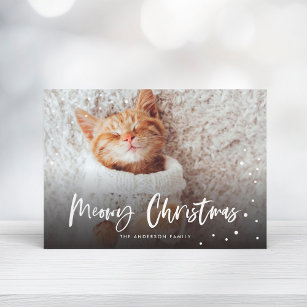 Meowy Christmas Snow Cat   Pet Photo Holiday Card