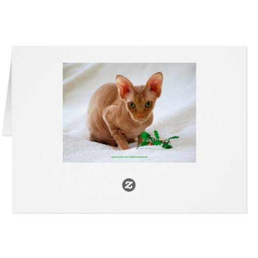 Meowy Christmas Sphinx Cat (Back Horizontal)