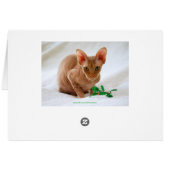 Meowy Christmas Sphinx Cat Cards (Back Horizontal)