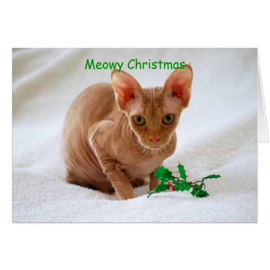 Meowy Christmas Sphinx Cat Cards (Front Horizontal)